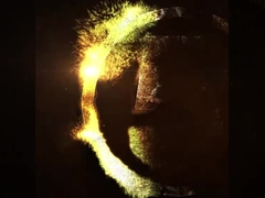 Die in Absatz 1 genannten Anforderungen gelten nicht für die in Anhang I der Verordnung (EG) Nr. 1907/2006 vorgesehenen Verfahren.