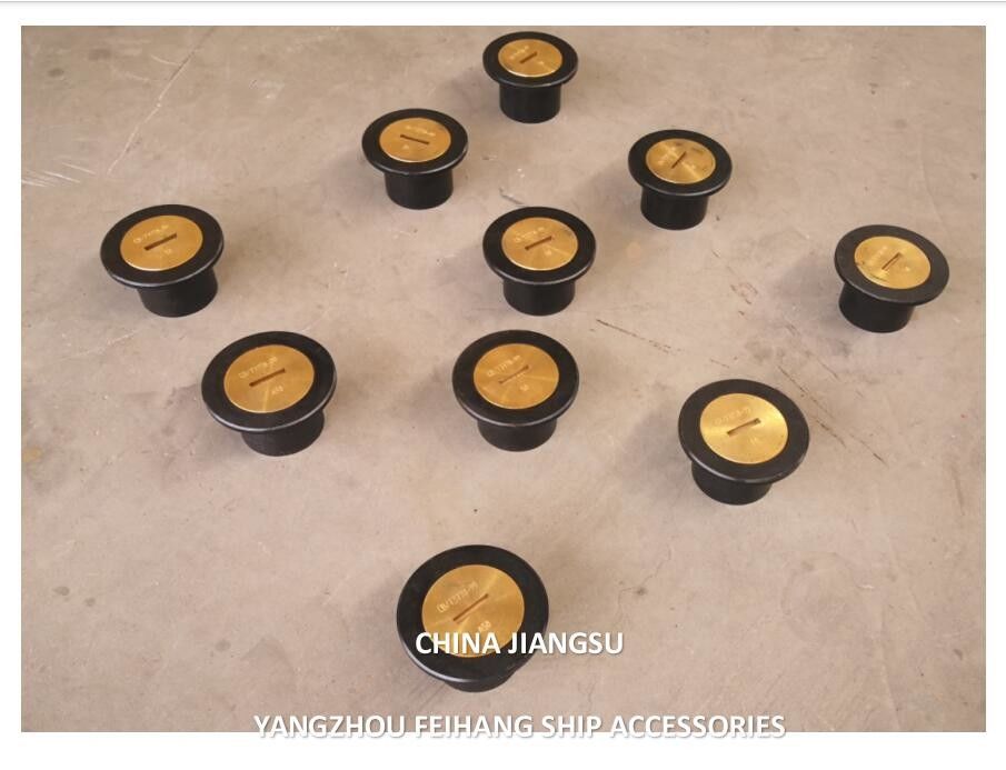 Sondierrohrkopf Typ A65 Cb/T3778 Injektionskopf Kopfkörper aus Gusseisen, Kappe aus Messing