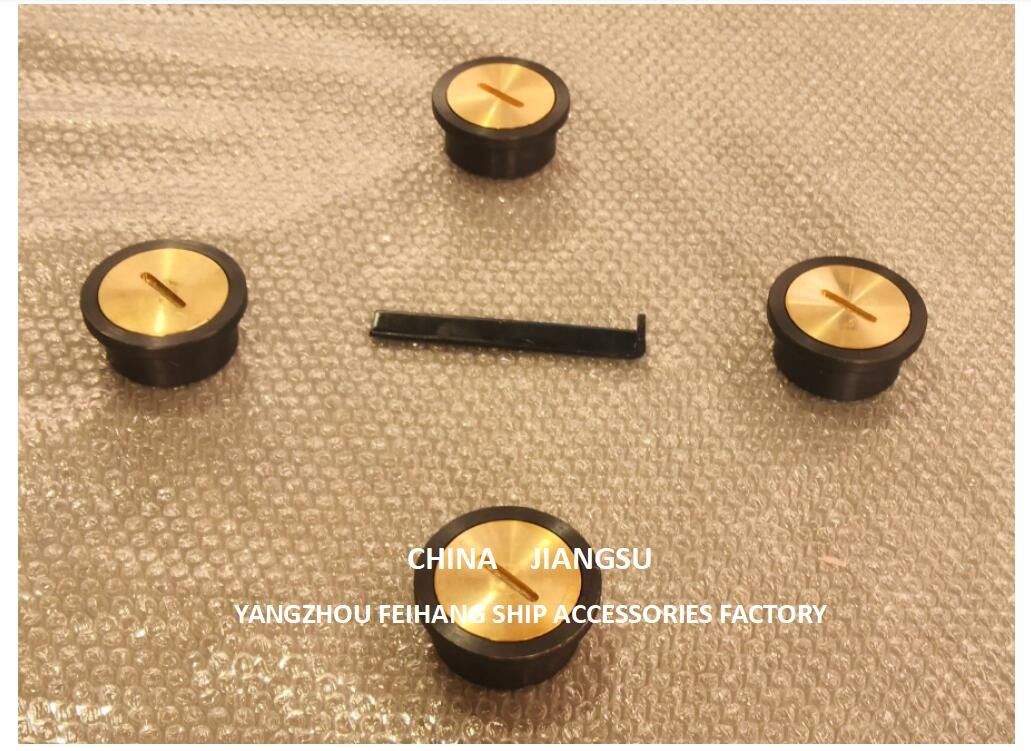 Sondierrohrkopf Typ A65 Cb/T3778 Injektionskopf Kopfkörper aus Gusseisen, Kappe aus Messing