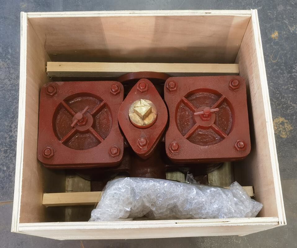 Dauerhafte Gusseisenflansche Filter Duplex Ölspülmaschine geeignet für 0,5mpa Druckbereich Modell As50 Cb/T425