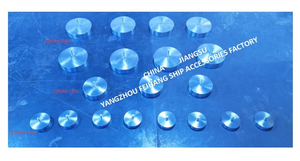 FLOATER FÜR WBT Ballastluftventilationskopf 533HFB-150A FLOAT DISC FÜR MAF Ballastluftventilationskopf