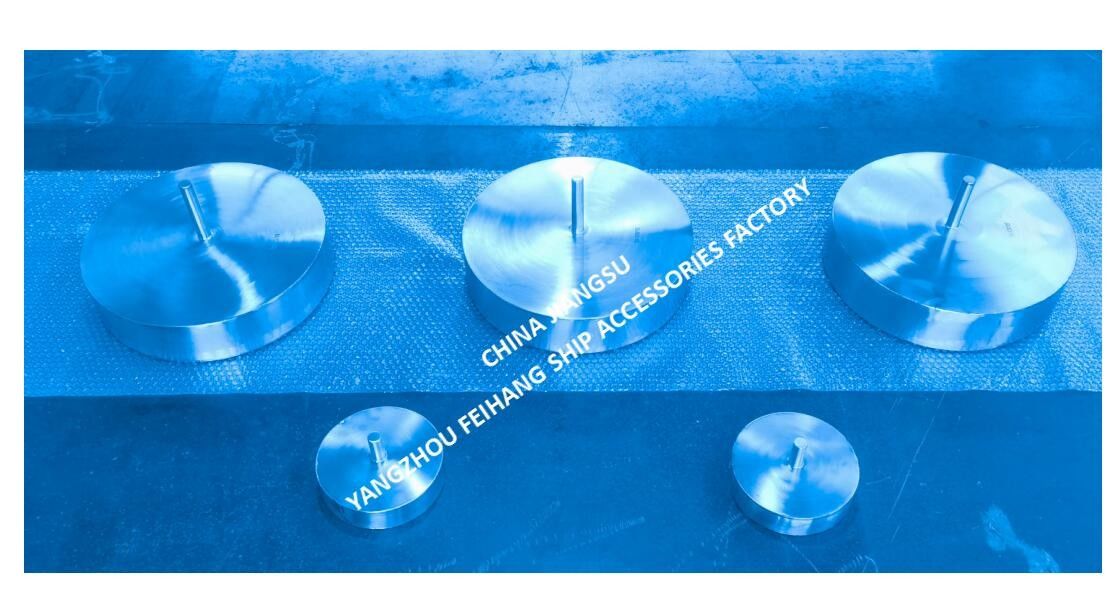 Schwimmer, komplett mit Ausrüstung, für Wasserballastbehälter, Modell 533 HFB-250, Material Edelstahl 1Cr18Ni