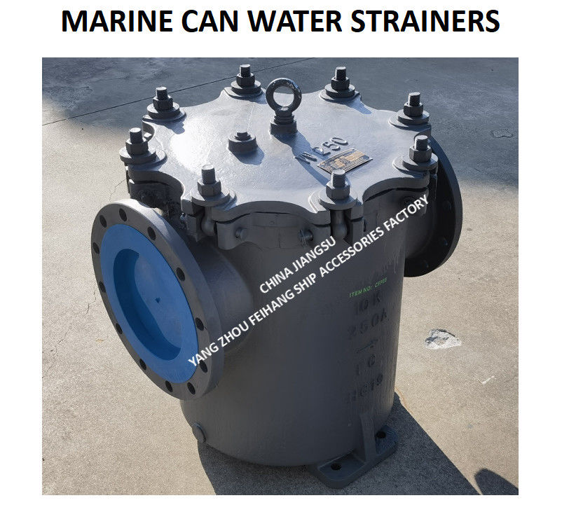 Marine-Wasserfilter aus Gusseisen mit Filter aus Edelstahl