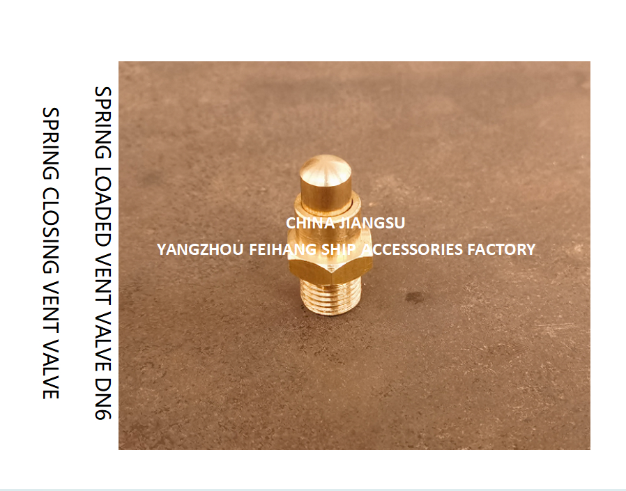 DN6 Brass Spring Loaded Vent Valve with Threaded Ends Compliant to CB/T3778-1999 Standards