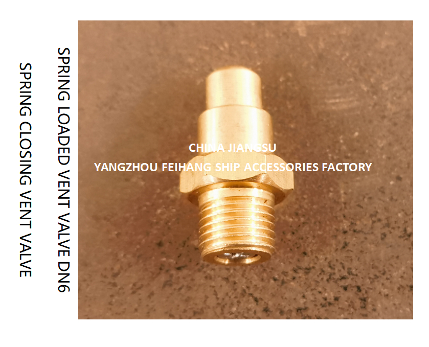 DN6 Spring Loaded Vent Valve with Thread M13 Connection Compliant with CB/T3778-1999 Standard