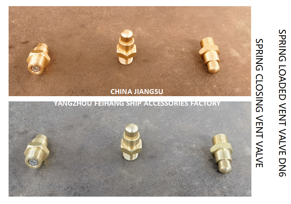 DN6 Spring Loaded Vent Valve with Threaded End Compliant with CB/T3778-1999 Standard